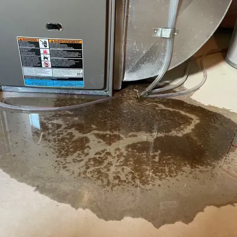 Appliance Leak Cleanup in Willowbrook, NY